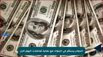 الدولار يستقر في البنوك مع نهاية تعاملات اليوم الآن